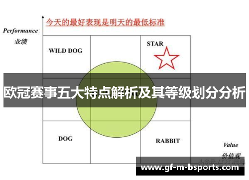 欧冠赛事五大特点解析及其等级划分分析