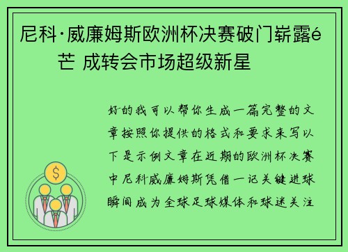 尼科·威廉姆斯欧洲杯决赛破门崭露锋芒 成转会市场超级新星