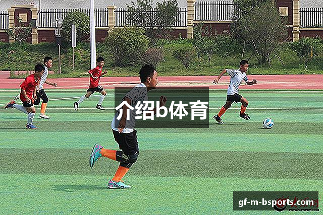 介绍b体育